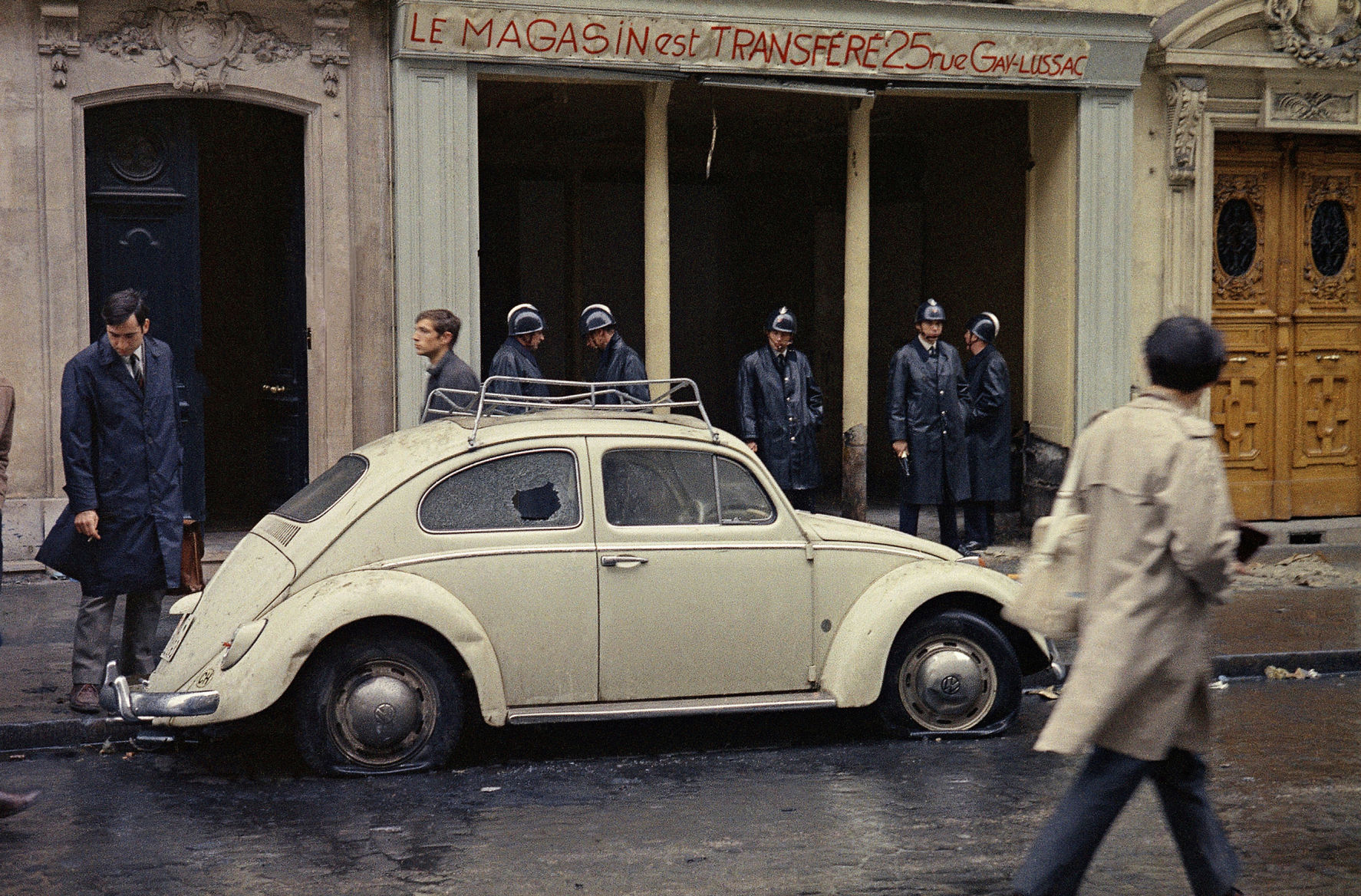 The Last Beetle